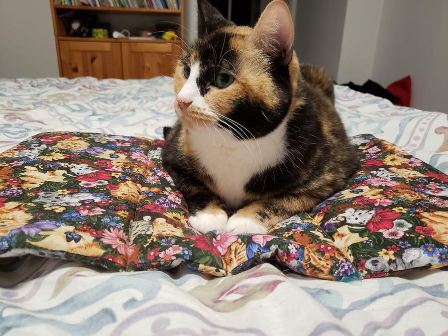 Pink Panther Catnip Infused Playmat