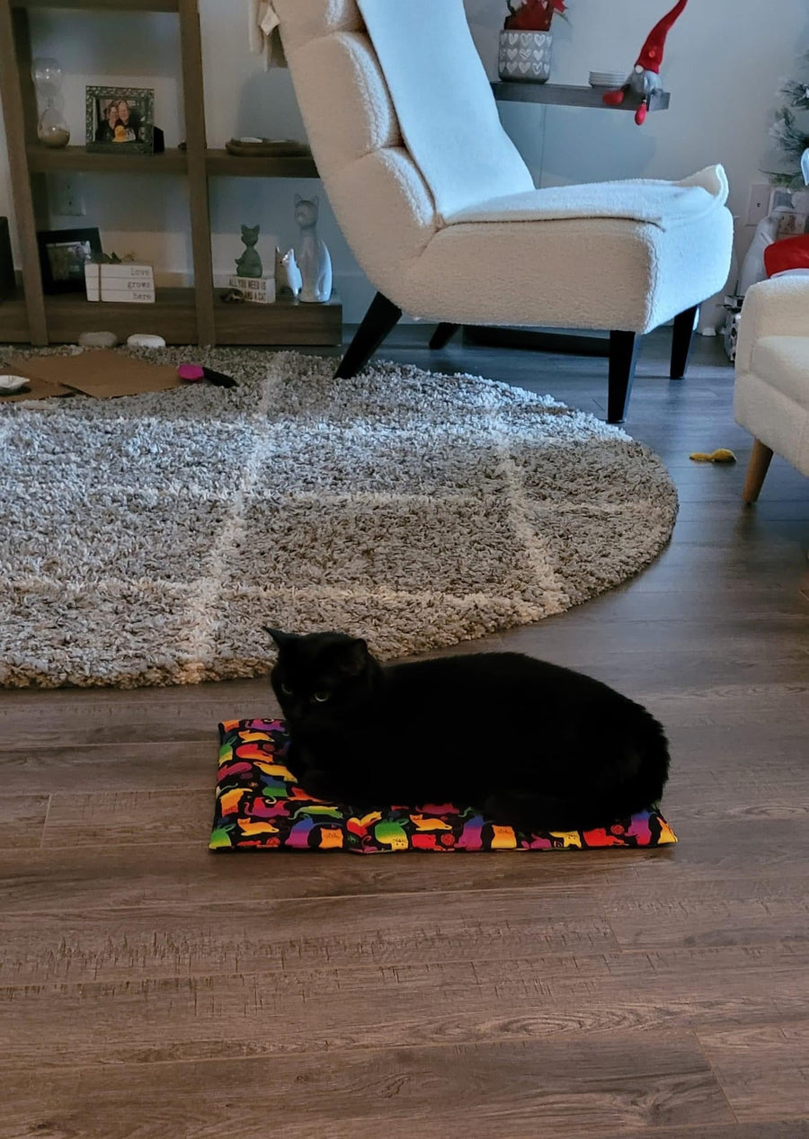 Salem Catnip Infused Playmat