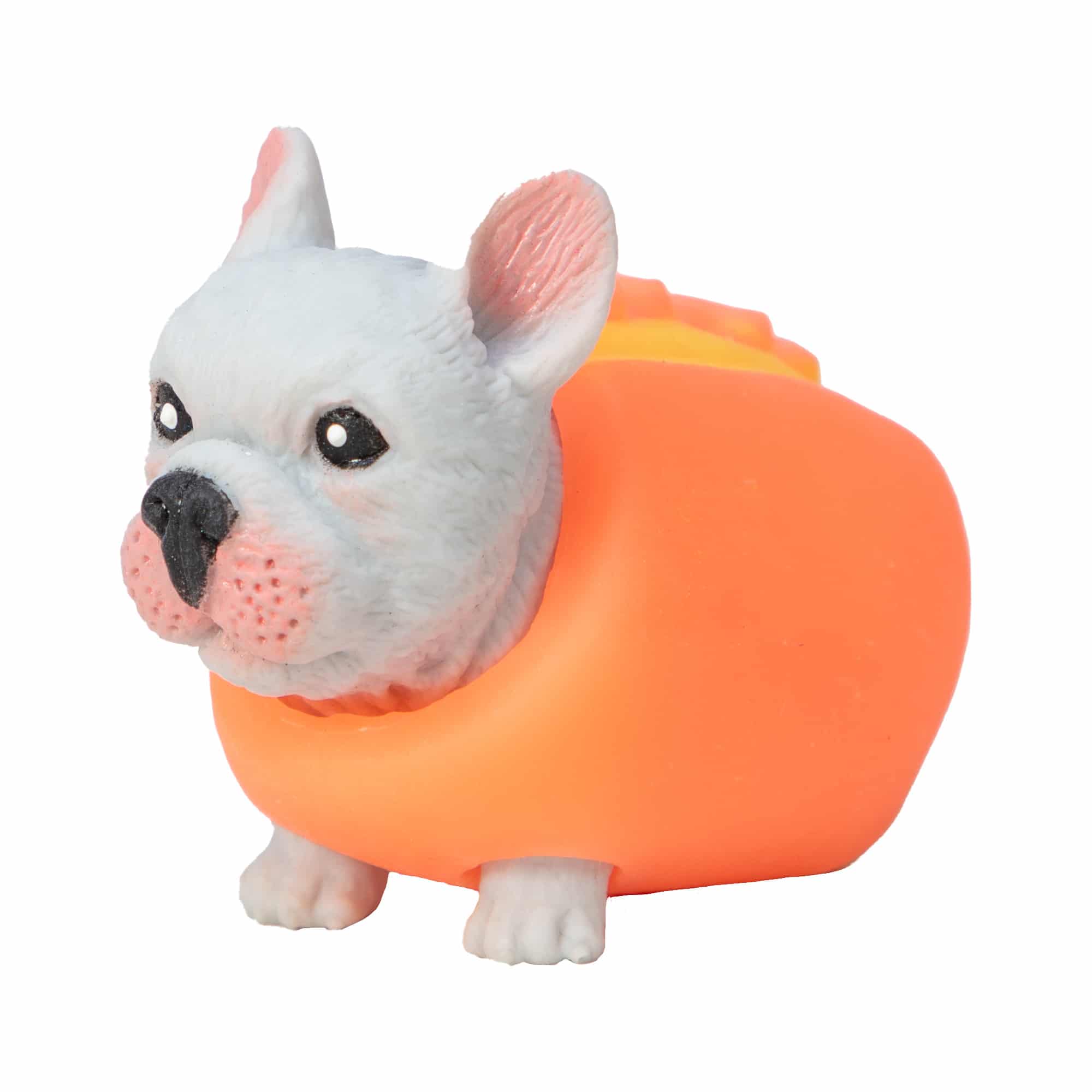 Zoom